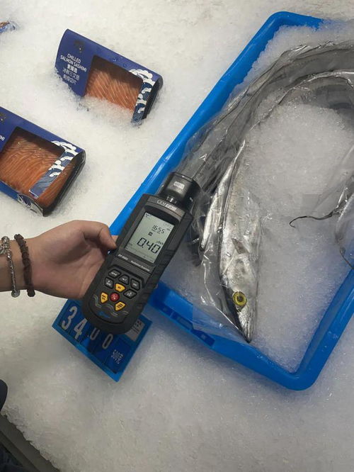 日本核污水已開始排海 海鮮食品安全如何保障