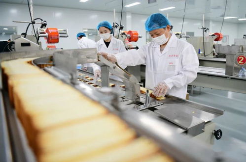 總投資60億元,瀏陽這個大項目快速推進,一期為教育板塊,依托湖南師大師資力量 建設