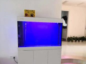 圖 深圳專業公司家庭魚缸養護 安裝搬移 深圳寵物食品 用品